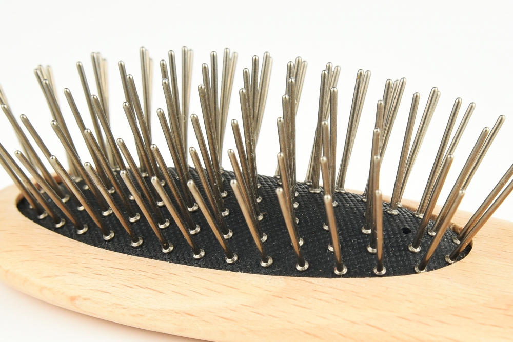 Titanium dolphin-shaped hairbrush
